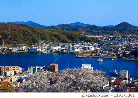 [Hiroshima Prefecture] Onomichi townscape seen from Senkoji Park in spring when cherry blossoms bloom 129173301
