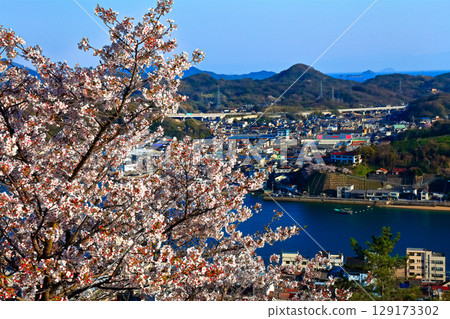 [Hiroshima Prefecture] Onomichi townscape seen from Senkoji Park in spring when cherry blossoms bloom 129173302
