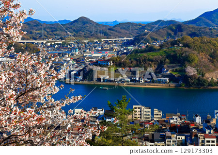 【廣島縣】春天櫻花盛開時從千光寺公園眺望尾道的街道 129173303