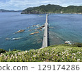 Koshikijima Kanoko lily colony and Koshiki Bridge 129174286