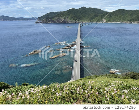 Koshikijima Kanoko lily colony and Koshiki Bridge 129174286