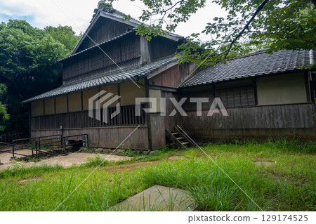 Kabuki stage 129174525