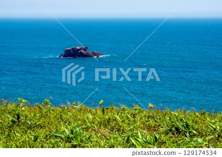The Pacific Ocean from Kiritappu and Cape Azechi 129174534