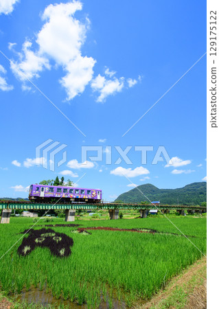 Akita Inland Line Rice Field Art Akita Prefecture 129175122