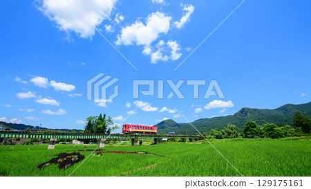 秋田內陸線列車穿越鐵橋與稻田藝術 秋田內陸線列車穿越鐵橋與稻田藝術 129175161