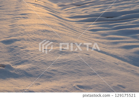 Snowfield lit by the setting sun 129175521
