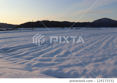 夕陽照射下的雪原 129175532