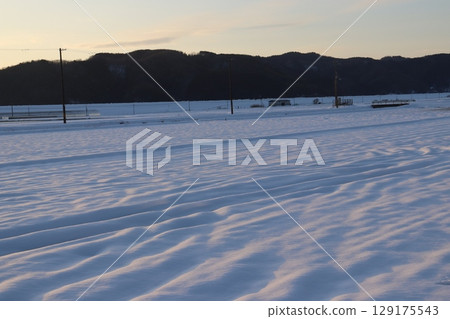 夕陽照射下的雪原 129175543