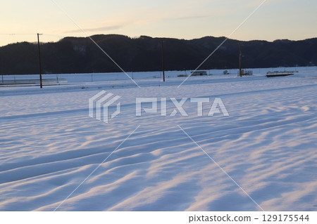 Snowfield lit by the setting sun Snowfield lit by the setting sun 129175544