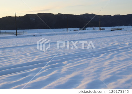 Snowfield lit by the setting sun Snowfield lit by the setting sun 129175545