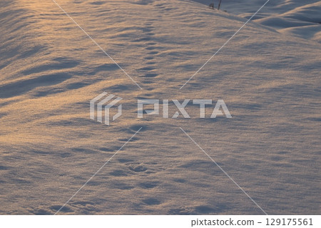 夕陽照射下的雪原 夕陽照射下的雪原 129175561