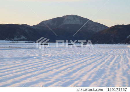 夕陽照射下的雪原 夕陽照射下的雪原 129175567