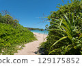 Road to the sea 129175852
