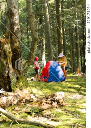 Family camping in a forest, setting up a small tent. A child and adult work together. Family camping in a forest, setting up a small tent. A child and adult work together. 129175934