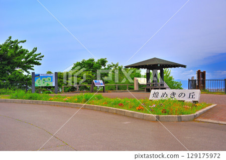 Chubu region, Izu Peninsula, Sparkling Hill, refreshing sea and blue sky, image of the park with a view of Mt. Fuji, Ida, Numazu City, Shizuoka Prefecture (6) 129175972