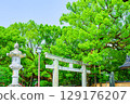 Dazaifu Tenmangu Shrine, Baba-sando, Dazaifu City, Fukuoka, clear skies 129176207