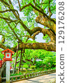 Dazaifu Tenmangu Shrine, Baba-sando, Dazaifu City, Fukuoka, clear skies 129176208
