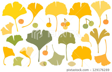 Cute ginkgo material set Cute ginkgo material set 129176289