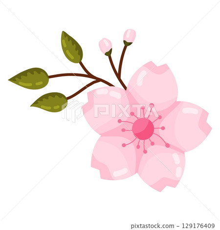 Delicate Pink Cherry Blossom Element Delicate Pink Cherry Blossom Element 129176409