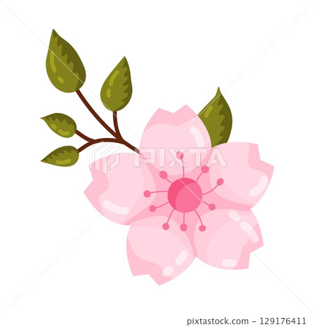 Single Pink Cherry Blossom Branch Element 129176411