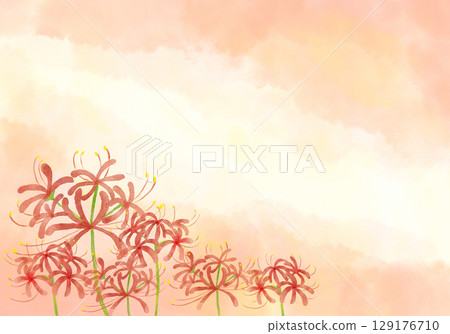 紅蜘蛛百合背景水彩 129176710