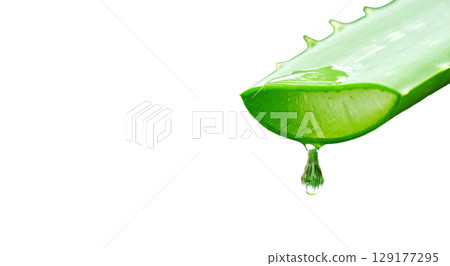 aloe gel dripping from a freshly cut aloe vera leaf isolated 129177295