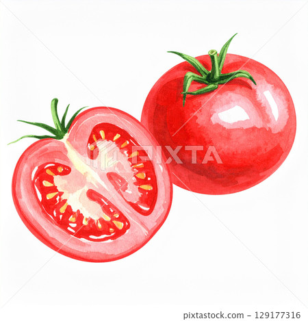 watercolor illustration of a red tomato isolated watercolor illustration of a red tomato isolated 129177316