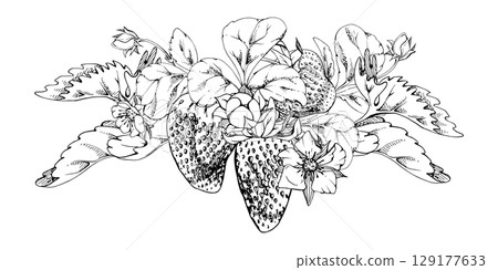 Strawberry berries growing with leaves tendrils hand drawn in vector ink, ripe forest garden harvest. Isolated botanical illustration garland. Dessert menu, food packaging, farmers market, cosmetics 129177633