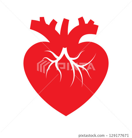 Red heart symbol with stylized blood vessels. Red heart symbol with stylized blood vessels. 129177671