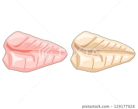 Illustration of raw and grilled chicken breast 129177828