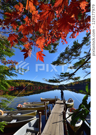 秋季白子池:水中倒映的紅葉 秋季白子池:水中倒映的紅葉 129177979