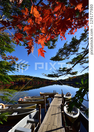 秋季白子池:水中倒映的紅葉 秋季白子池:水中倒映的紅葉 129177980