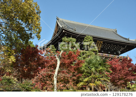 金界光明寺的秋天：山門與楓樹（京都市左京區） 129178276