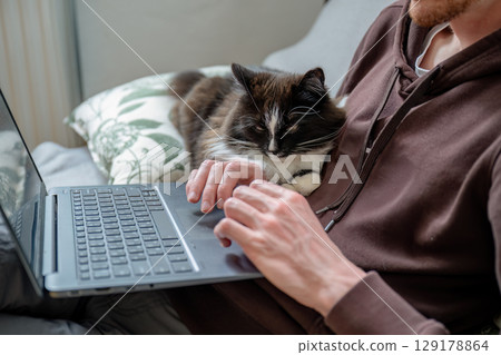 Man working on laptop with black and white cat lying on his knees at home 129178864