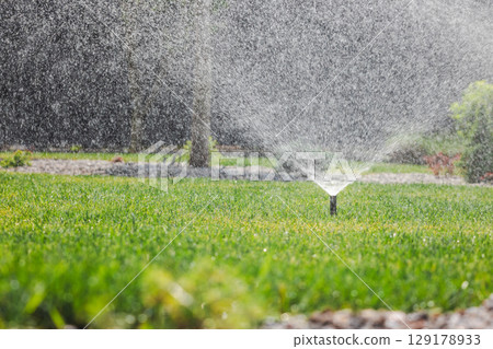 Lawn sprinkler spraying water in a landscaped backyard on a sunny day, with water droplets visible in the air Lawn sprinkler spraying water in a landscaped backyard on a sunny day, with water droplets visible in the air 129178933