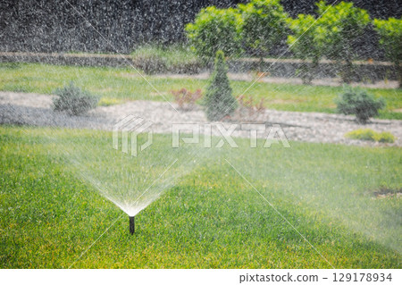 Automatic garden sprinkler sprays fine water mist over green grass on a sunny day in a landscaped backyard with decorative plants Automatic garden sprinkler sprays fine water mist over green grass on a sunny day in a landscaped backyard with decorative plants 129178934