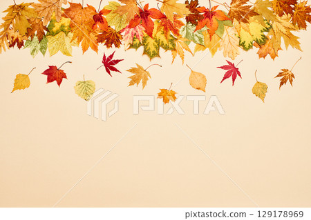 Autumn leaves on beige background 129178969