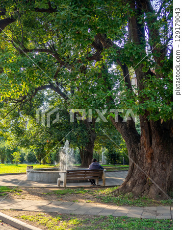 man sits on a bench by a fountain in the park. Waiting man. Lonely man concept. man sits with his back to the camera. man sits on a bench by a fountain in the park. Waiting man. Lonely man concept. man sits with his back to the camera. 129179043