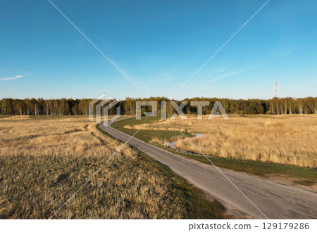 A picturesque rural road winds through a field of dry grass, leading to a distant forest under a clear blue sky 129179286