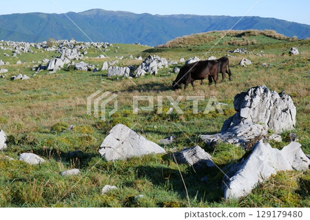 秋季四國喀斯特 129179480