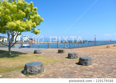 Photographed at Kantankoen in Oita Prefecture 129179588