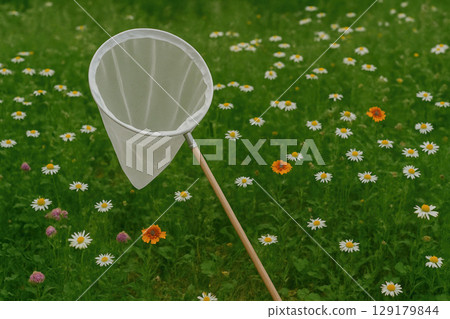 A butterfly net in a meadow among daisies. 129179844