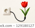 An electrical outlet with a blooming tulip. 129180127