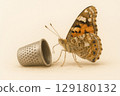A butterfly with a drop at the proboscis near a thimble on a light background. Space for text. 129180132