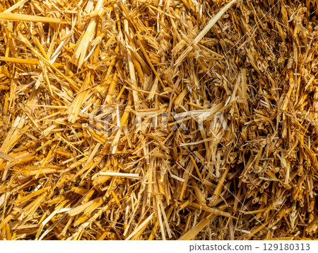 Hay background. Straw blocks. Heap of dry grass. Animal food.  Rural life concept 129180313