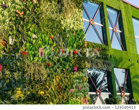 Facade of the building in greenery. Decorating works. The wall of the building is covered with artificial flowers and plants. Building reconstruction. 129180413