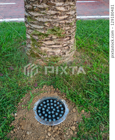 Street illumination lamp in the ground. Lantern in the ground. Palm lighting. Street illumination lamp in the ground. Lantern in the ground. Palm lighting. 129180481