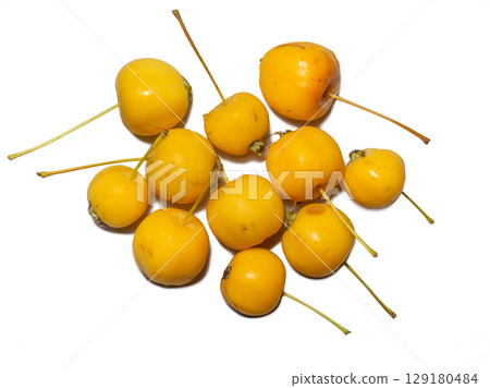 early variety of apples. Small yellow apples on a white background. Chinese gold. early variety of apples. Small yellow apples on a white background. Chinese gold. 129180484