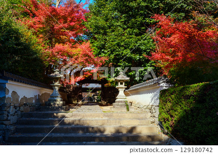 Jigen-do Temple surrounded by autumn leaves 129180742