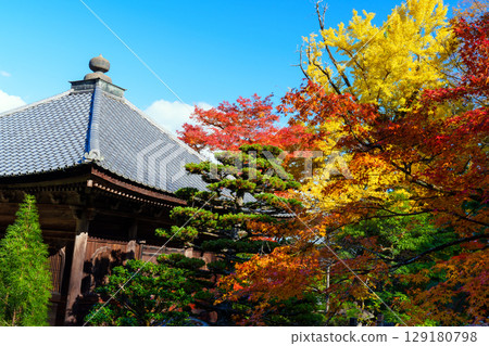 Jigen-do Temple surrounded by autumn leaves Jigen-do Temple surrounded by autumn leaves 129180798